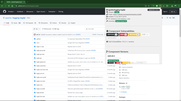 IDE & browser extensions